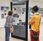 EXPOSITION. VERS LA VICTOIRE, LA FRANCE AU COMBAT DE 1942 A 1945